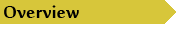 Overview